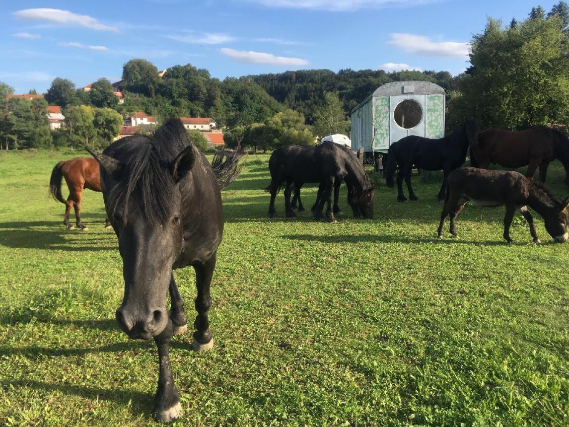 Glamping - Stylova Maringotka V Srdci Ladova Kraje, Pobliz Hlavniho Mesta Prahy Stribrna Skalice Exterior photo